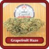 Grapefruit Haze
