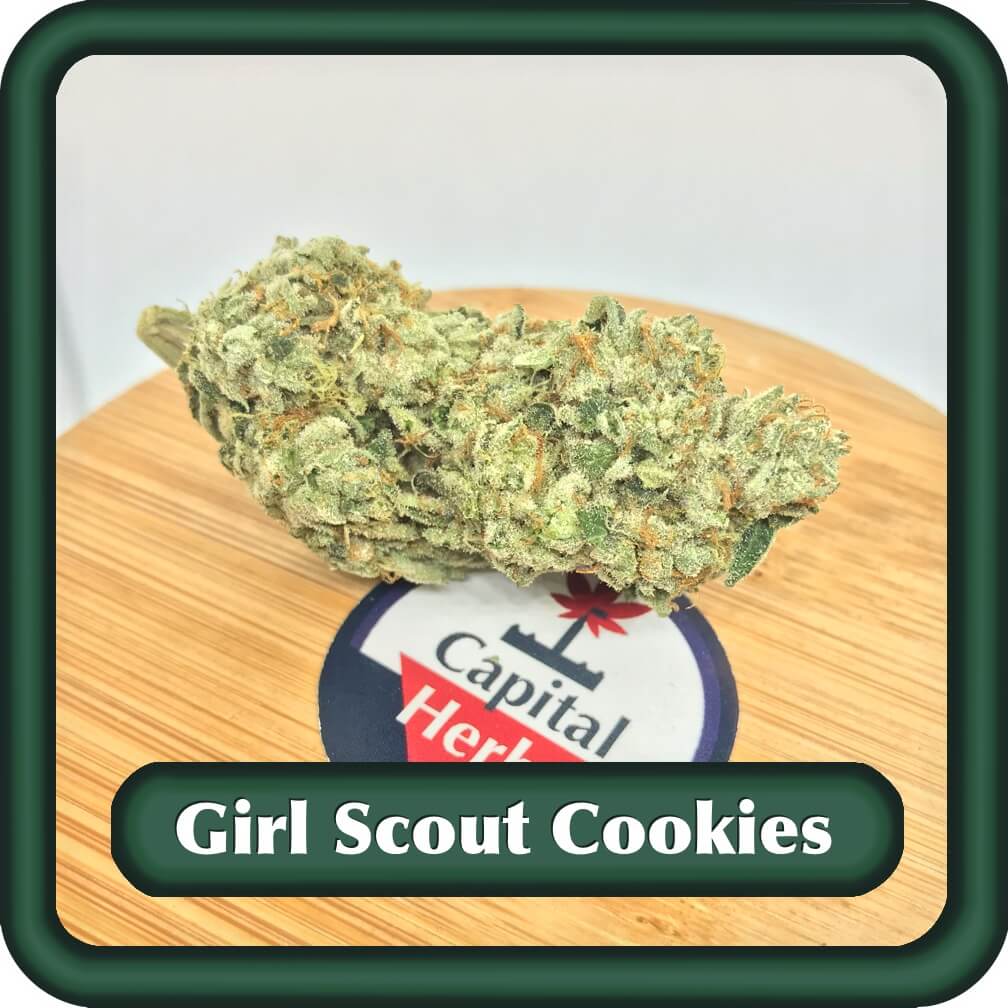 Girl Scout Cookies Thin Mint Phenotype Capital Herbs