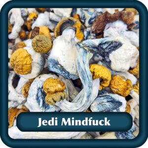 Jedi Mindfuck Mushrooms Ottawa Delivery Capital Herbs