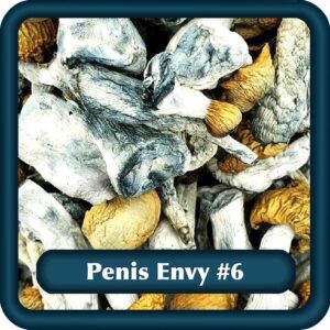 Penis Envy #6 Ottawa mushroom delivery Capital Herbs